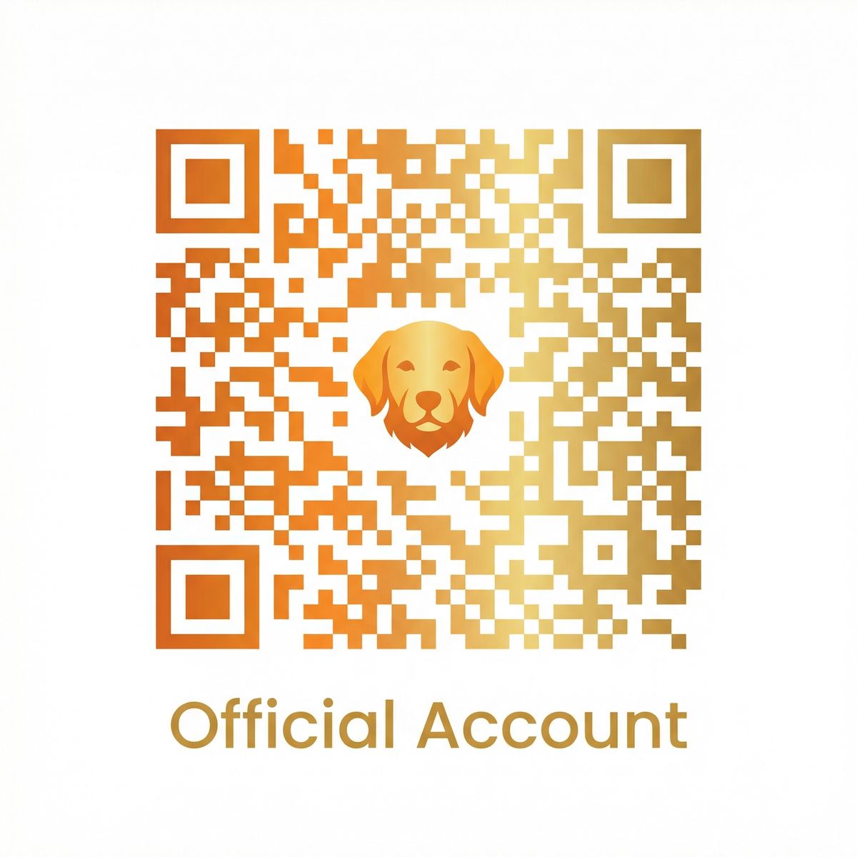 抖阴公众号二维码